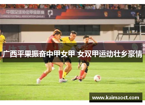 广西平果振奋中甲女甲 女双甲运动壮乡豪情