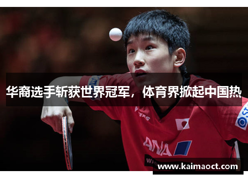 华裔选手斩获世界冠军，体育界掀起中国热